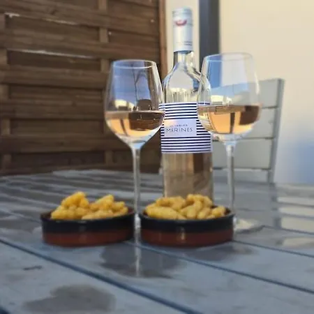 Tatil Evi Lumineuse Au Soleil,plage 5',piscine,parking Sérignan